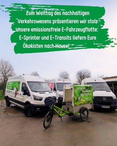 KI generiert: E-Fahrzeugflotte für Ökokisten-Lieferung. Text: "Zum Welttag des nachhaltigen Verkehrswesens präsentieren wir stolz unsere emissionsfreie E-Fahrzeugflotte: E-Sprinter und E-Transits liefern Eure Ökokisten nach Hause!"
