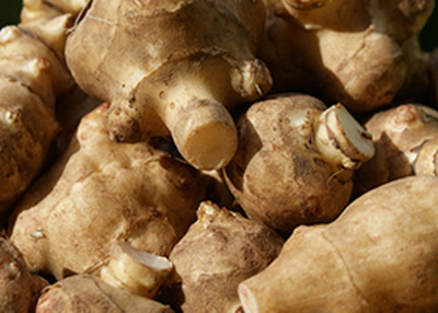 Produktfoto zu Topinambur