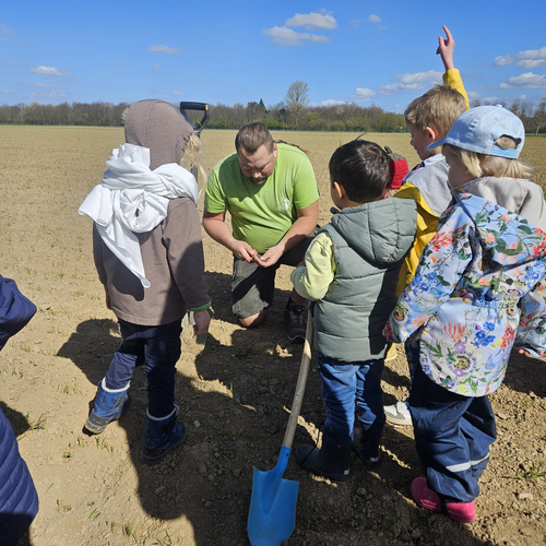 KI generiert: Ein Erwachsener zeigt Kindern etwas auf einem Feld, zusammen mit einer Schaufel.