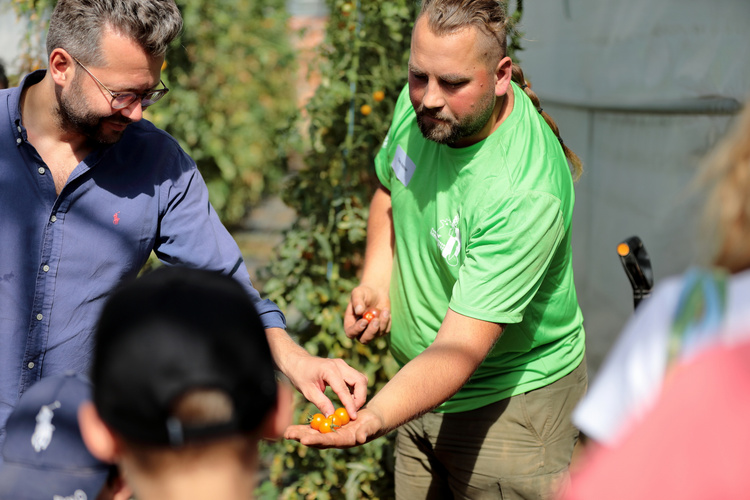 KI generiert: Menschen begutachten gelbe Tomaten in einem Gewächshaus.