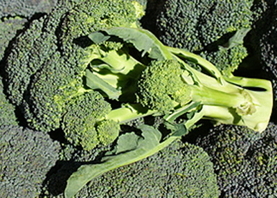 Produktfoto zu Brokkoli knapp