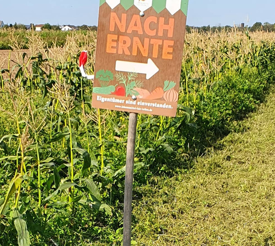 Herzliche Einladung