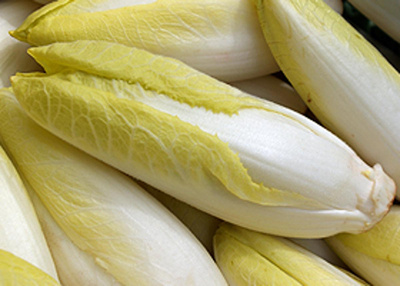 Produktfoto zu Chicorée