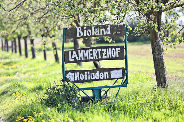 KI generiert: Ein Holzschild weist den Weg zu einem Bioland-Hofladen mit der Aufschrift: "Bioland Lammertzhof Hofladen".