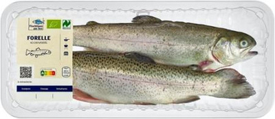 Produktfoto zu V-Regenbogenforelle, küchenfertig VORBESTELLUNG zu KW45