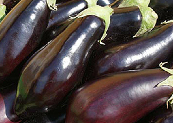 Produktfoto zu Auberginen