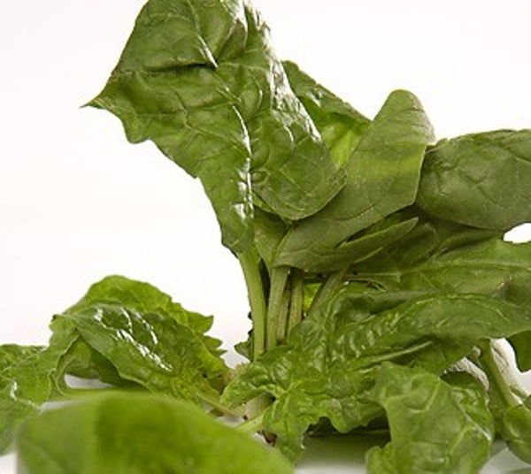 Produktfoto zu Spinat