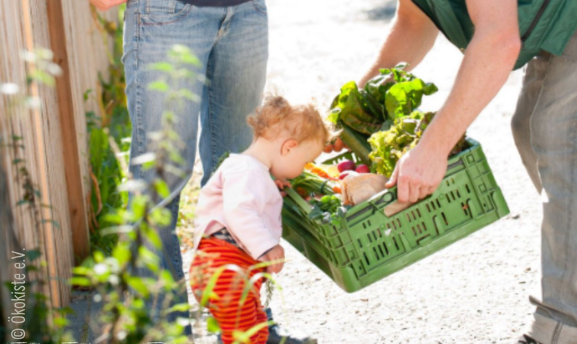 biolandlammertzhof_saisonkalender-oekokiste-feldpost