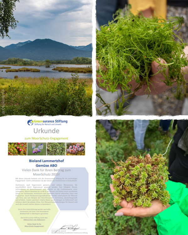 Moor, Landschaft, Natur, Urkunde Lammertzhof