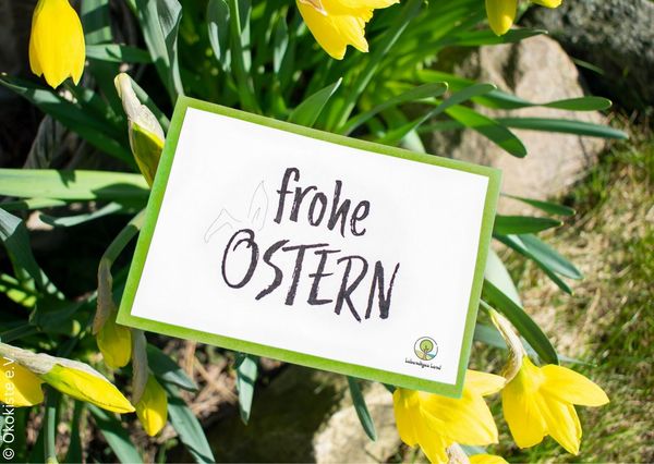 frohe Ostern, Blumen