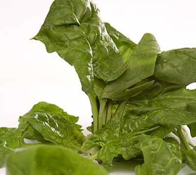 Produktfoto zu Spinat