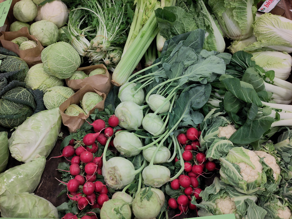 KI generiert: Das Bild zeigt eine Nahaufnahme von frischen Grünkohlblättern. Die krausen, grünen Blätter sind dicht beieinander angeordnet.