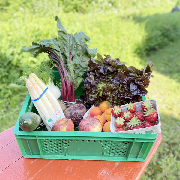 KI generiert: Das Bild zeigt eine Nahaufnahme von frischen Grünkohlblättern. Die krausen, grünen Blätter sind dicht beieinander angeordnet.