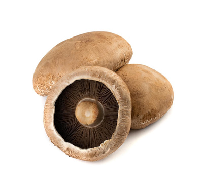 Produktfoto zu Portabella