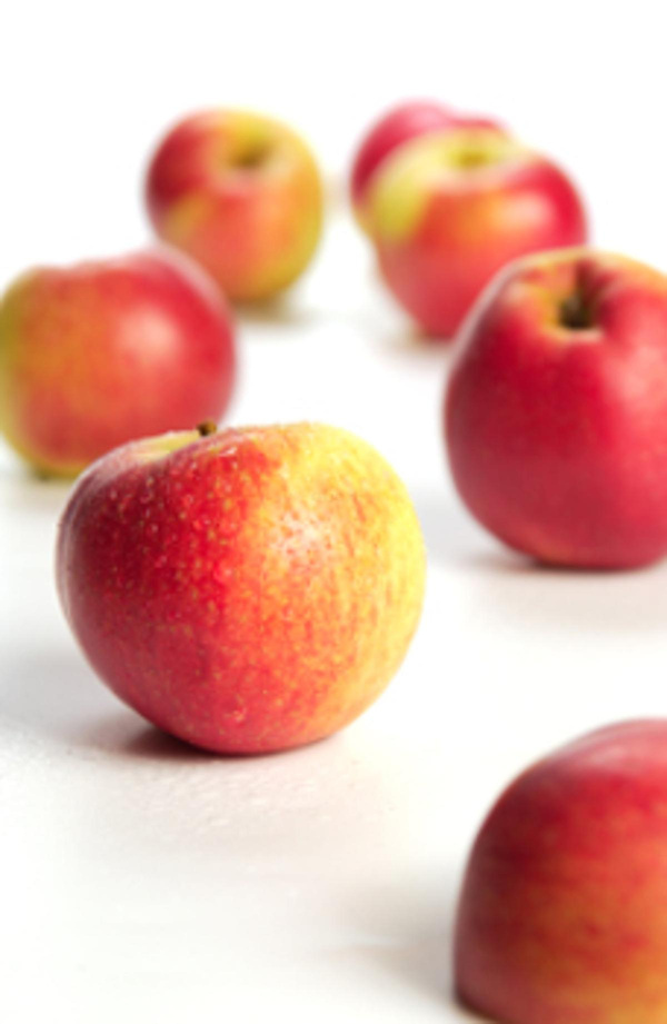 Produktfoto zu Apfel Santana