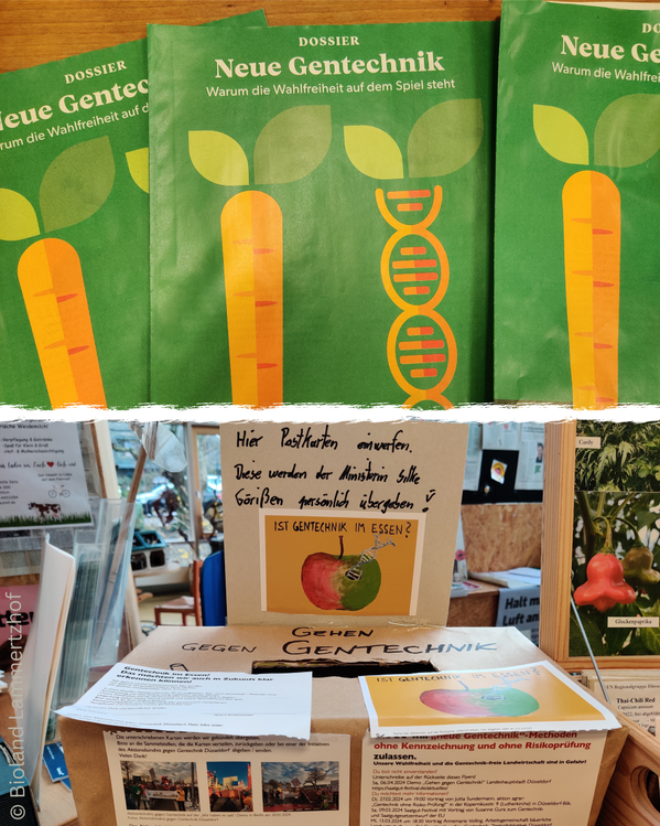 Broschüren, Karten mit Apfel und DNA