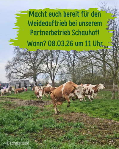 KI generiert: Kühe laufen auf einer Weide; Text: "Macht euch bereit für den Weideauftrieb (...) 08.03.26 um 11 Uhr."