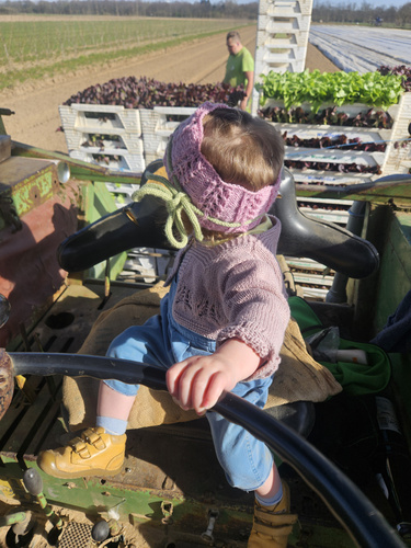 KI generiert: Ein Kind sitzt am Steuer eines Traktors auf einem Feld, mit Gemüsekisten im Hintergrund.