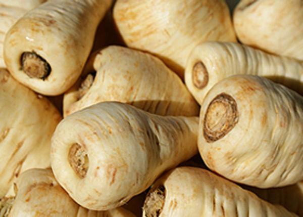 Produktfoto zu Pastinaken