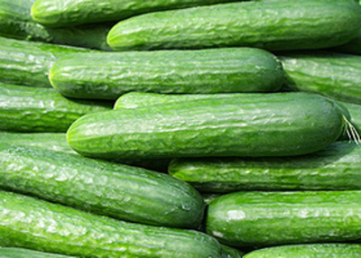 Produktfoto zu Minigurken eigen gewogen, ca. 100-250 g