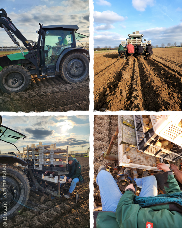 Feld, Acker, Traktor, Mitarbeiter