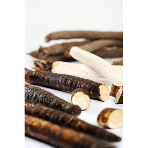 KI generiert: Das Bild zeigt eine Nahaufnahme von frischen Grünkohlblättern. Die krausen, grünen Blätter sind dicht beieinander angeordnet.