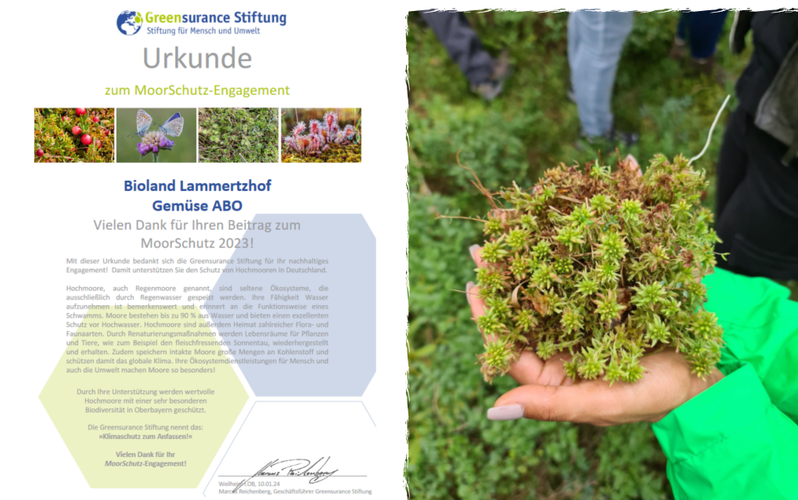 biolandlammertzhof_moorschutz