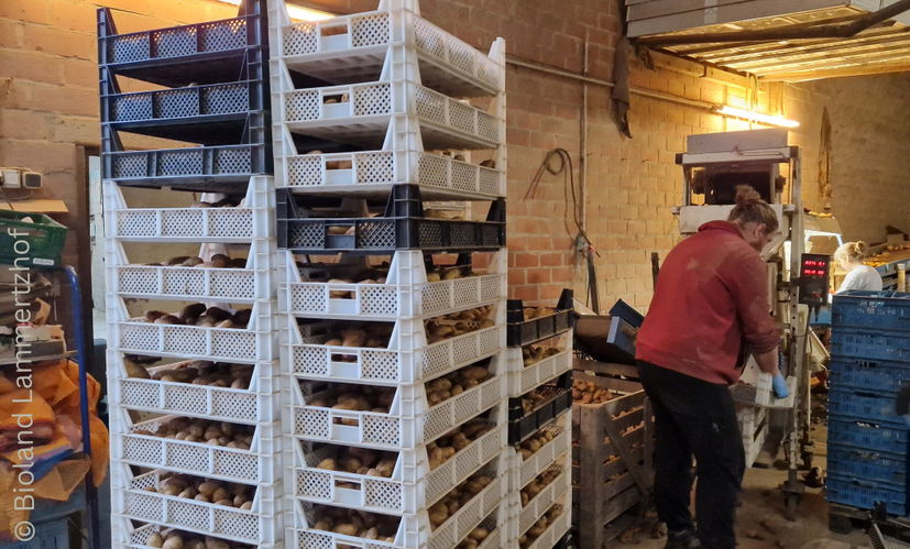 biolandlammertzhof_feldpost