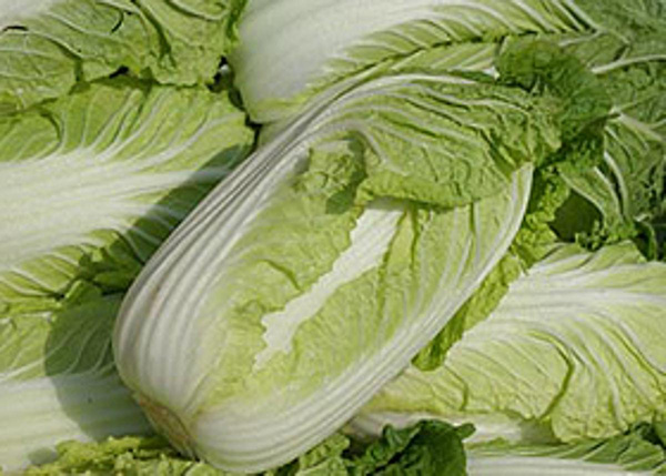 Produktfoto zu Chinakohl (Stück), 0,5-1,2 kg