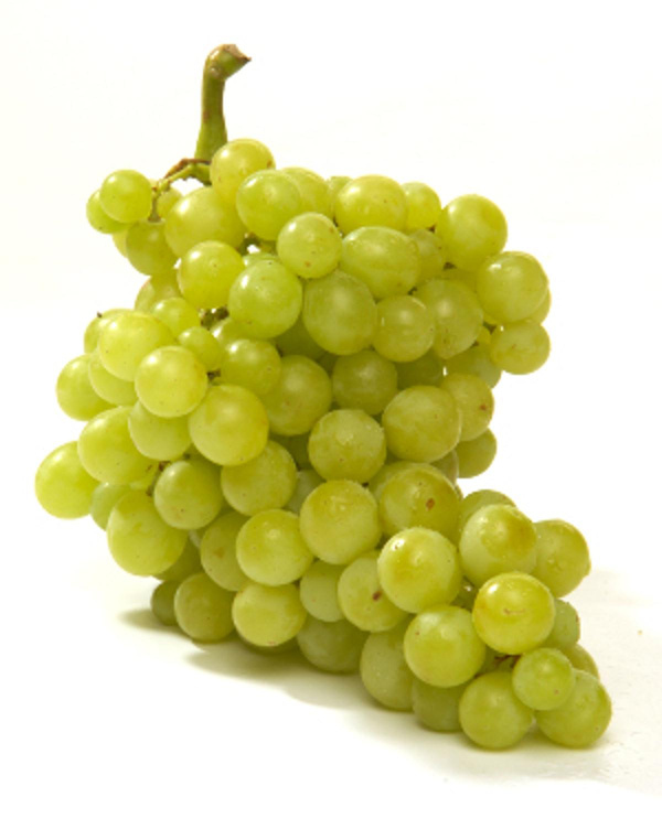 Produktfoto zu Trauben weiß kernlos