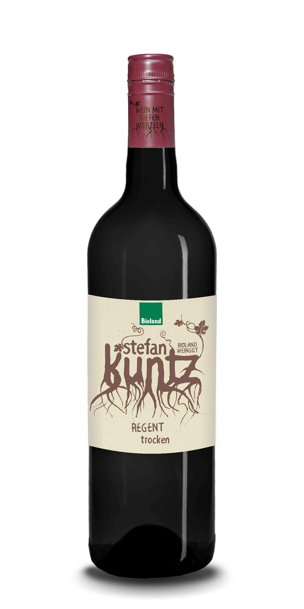 Produktfoto zu Regent QbA---