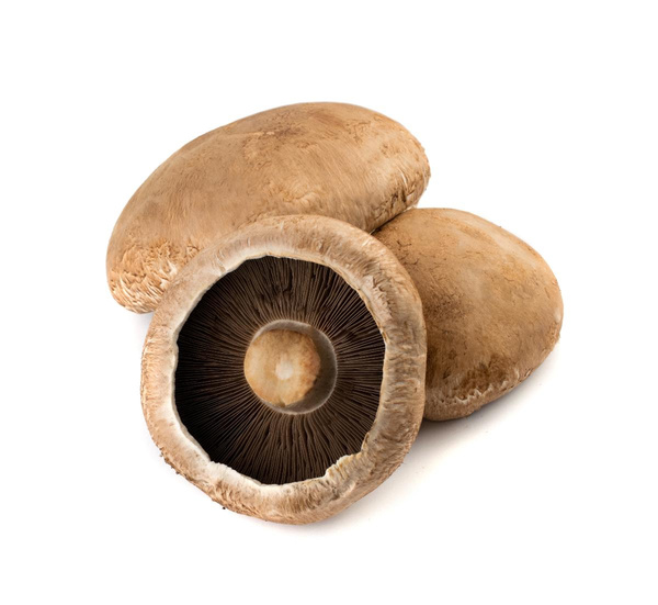 Produktfoto zu Portabella