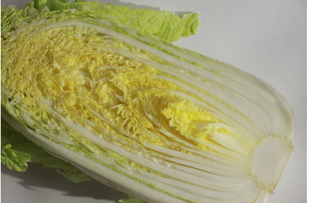 KI generiert: Ein halbierter Chinakohl liegt auf einem weißen Hintergrund.