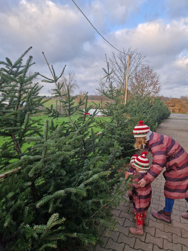 KI generiert: Eine Frau und ein Kind, beide mit gestreiften Mützen, betrachten Weihnachtsbäume am Straßenrand.