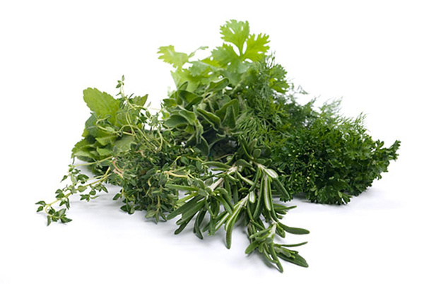 KRÄUTER, Preis je Sorte