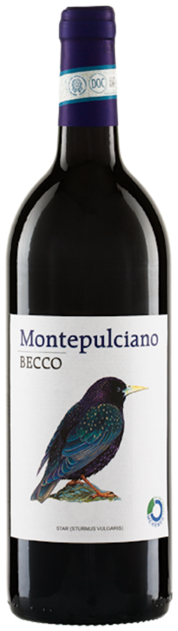 Produktfoto zu BECCO Montepulciano DOC 2022 1,Pfandflasche bitte zurück