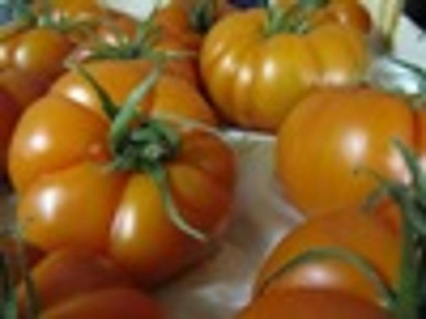 Produktfoto zu Tomaten Ochsenherz
