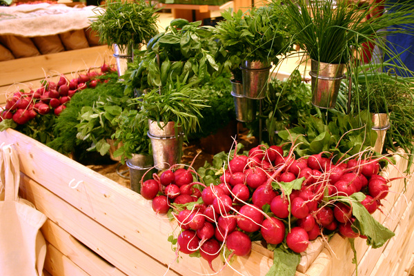 KI generiert: Das Bild zeigt eine Nahaufnahme von frischen Grünkohlblättern. Die krausen, grünen Blätter sind dicht beieinander angeordnet.