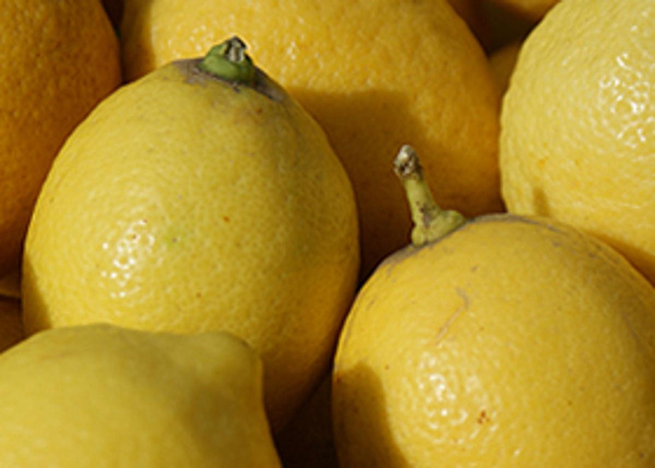 Produktfoto zu Zitronen