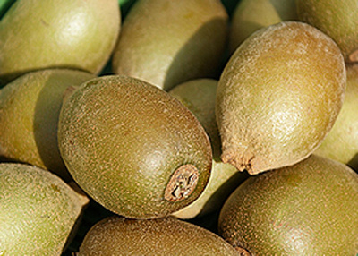 Produktfoto zu Kiwi Gold