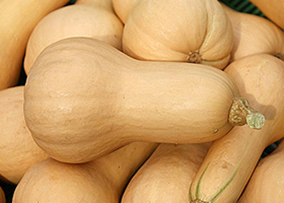 Produktfoto zu Kürbis Butternut (Stück)