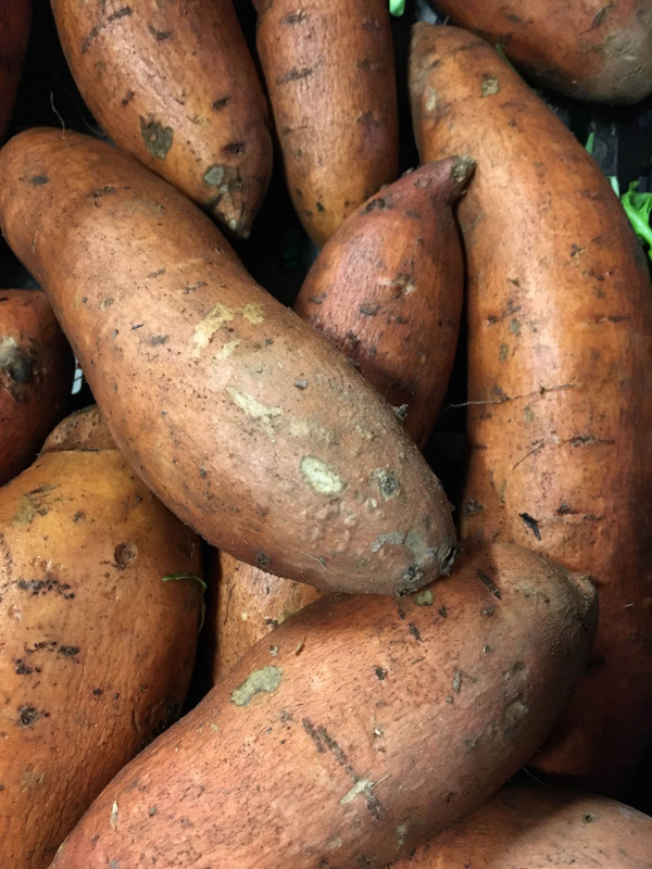 KI generiert: Das Bild zeigt eine Nahaufnahme von frischen Grünkohlblättern. Die krausen, grünen Blätter sind dicht beieinander angeordnet.