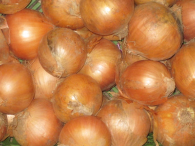 Produktfoto zu Zwiebeln