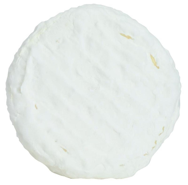 Produktfoto zu Weiße Kornblume (60% F.i.Tr.)