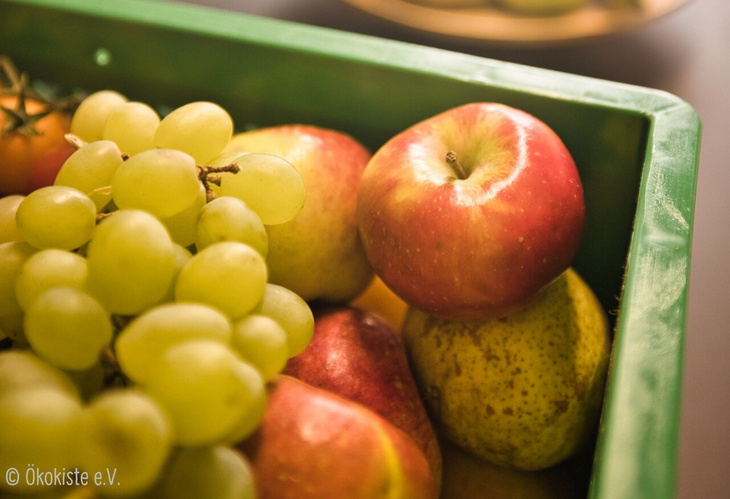 biolandlammertzhof_kita-infoveranstaltung