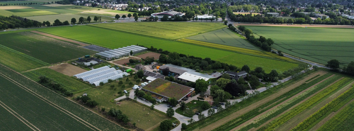 KI generiert: Luftaufnahme eines landwirtschaftlichen Hofs mit Gewächshäusern und umliegenden Feldern.