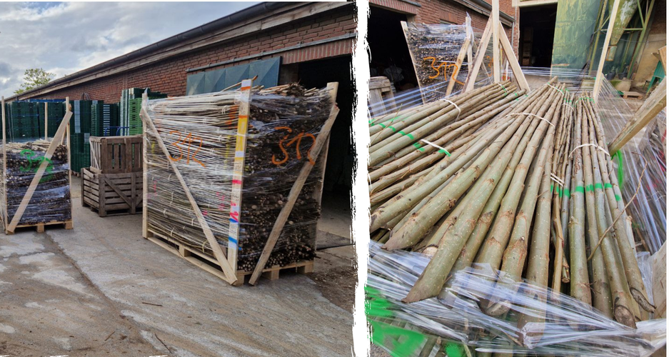 biolandlammertzhof_Oekolandbau_boden