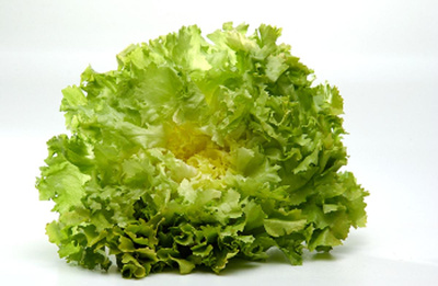 Produktfoto zu Endiviensalat, eigen glatt und kraus