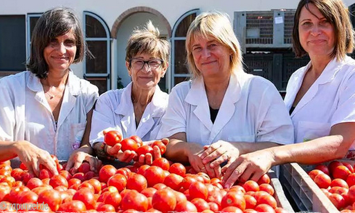 biolandlammertzhof_saisonkalender-oekokiste-feldpost