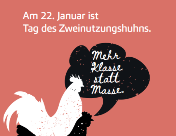 Hahn, Henne, Eier, Termin, Zweinutzungsnuhn